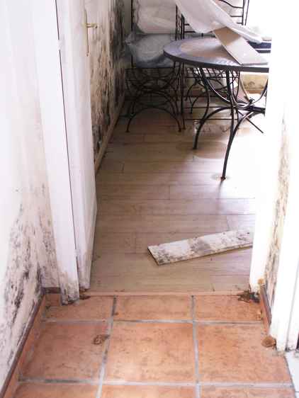 damp-problem damp-problem