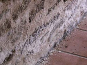 saltpetre-on-stone-wall