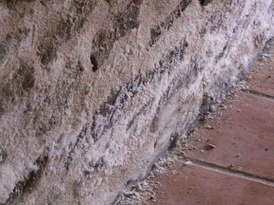 saltpetre saltpetre-on-stone-wall