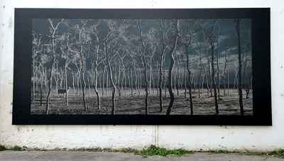Nick-Brandt-UK-3 photo-festival-nick-brandt-deforestation