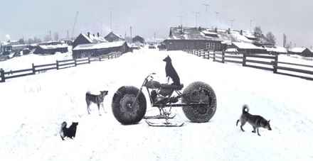 Pentti-Sammallahti-photo1 photo-festival-pentti-sammallahti-snow-landscape-dogs