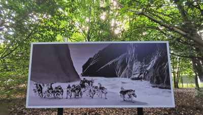 Ragnar-Axelsson-3 photo-festival-ragnar-axelsson-sled-dogs