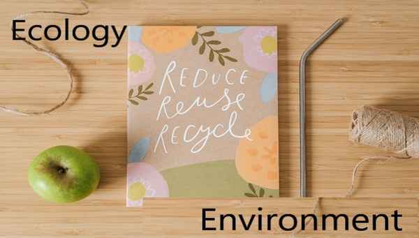 ecology-environment important-pro-environment-measures