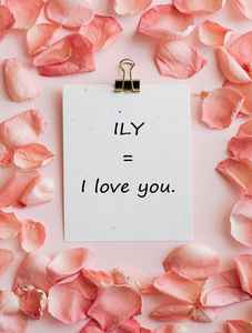 ILY means I love you