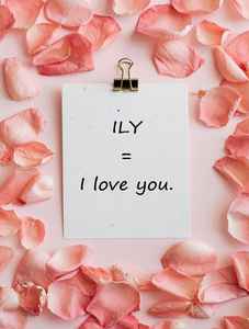 ILY ILY means I love you