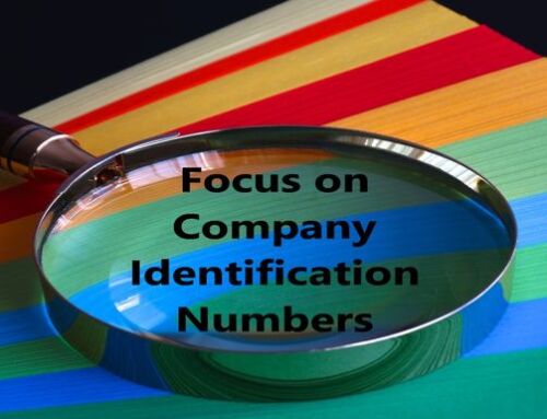 Focus on French Company Identification Numbers