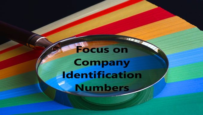 focus-on-company-identification-numbers